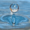 Genie Water Wands